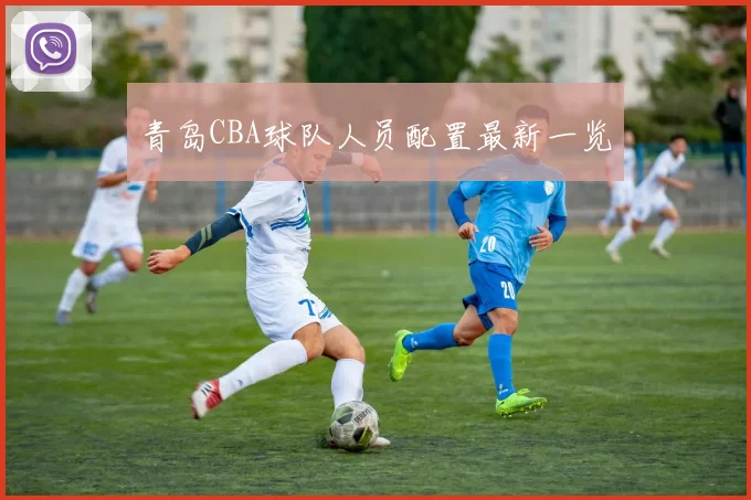 青岛CBA球队人员配置最新一览