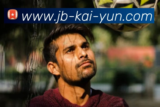 开云app平台生态图