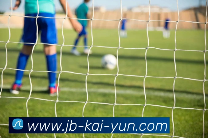 开云app全站App 开云app全站App